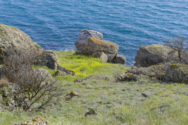 Similar image 21178886