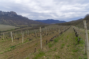 Similar image 21178888