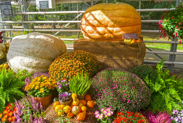 Similar image 21178889