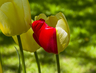 Similar image 21178891