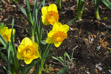 Similar image 21179187