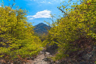 Similar image 21179188