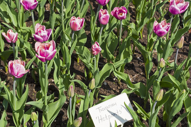 Similar image 21179190