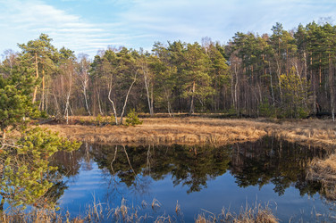 Similar image 21179193