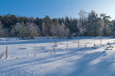 Similar image 21179195