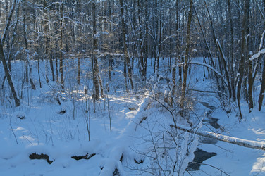 Similar image 21179196