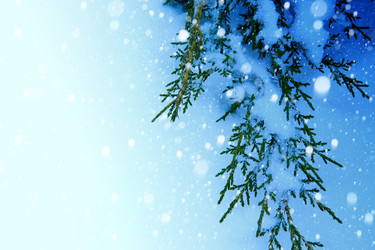 Similar image 21181146