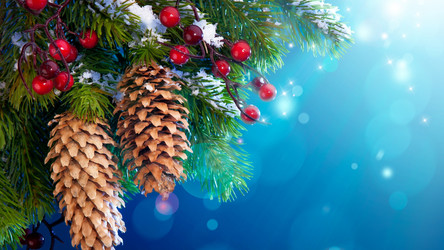 Similar image 21181147