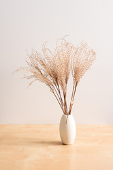 Similar image 21176892