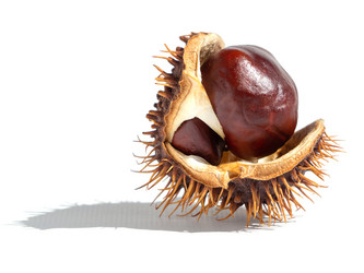 Similar image 21177852