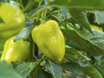 Similar image 21177854