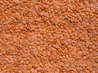 Similar image 21176905