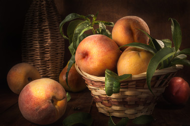 Similar image 21195404