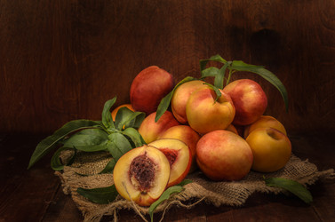 Similar image 21195405