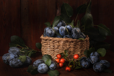 Similar image 21195406