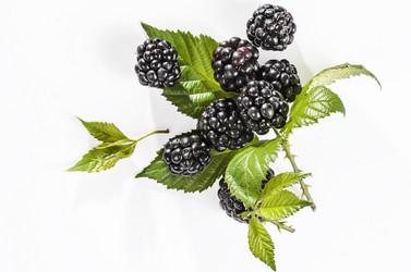 Similar image 21195418