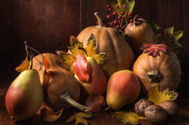 Similar image 21195423