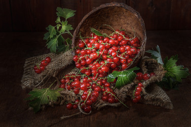 Similar image 21195428