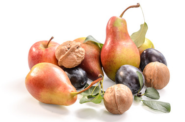 Similar image 21195431