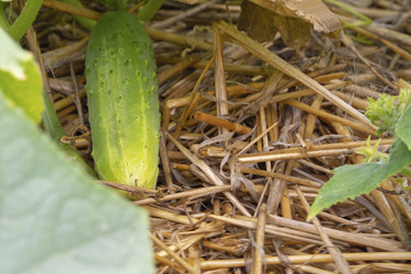 Similar image 21177856