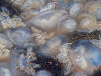 Similar image 21177858