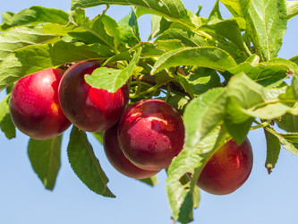 Similar image 21177860