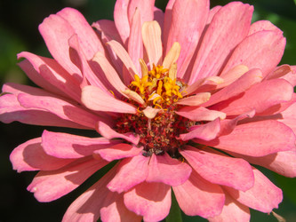 Similar image 21177866