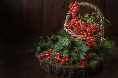 Similar image 21195447