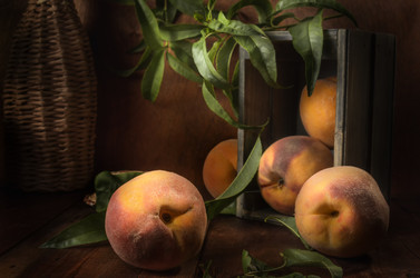 Similar image 21195448