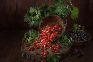 Similar image 21195451