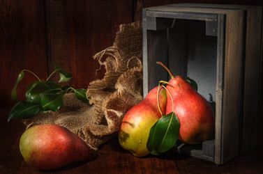 Similar image 21195460