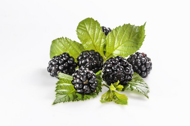 Similar image 21195461