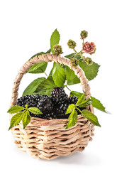 Similar image 21195464