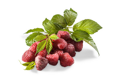 Similar image 21195465