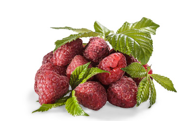 Similar image 21195467