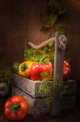 Similar image 21195468