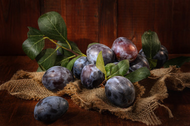 Similar image 21195474