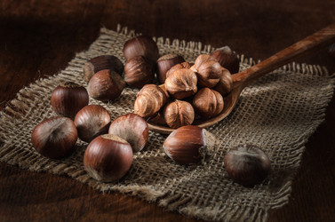 Similar image 21195492