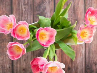 Similar image 21183345