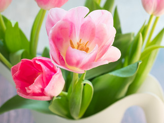 Similar image 21196306