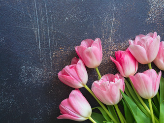 Similar image 21178910