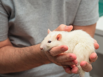 Similar image 21178913