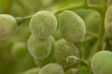 Similar image 21177869