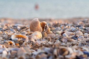 Similar image 21177870