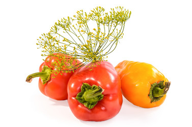 Similar image 21195496