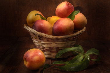 Similar image 21195506