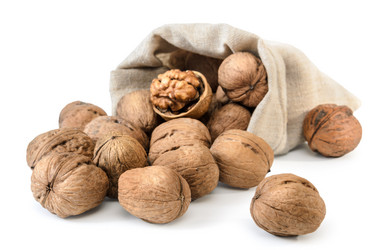 Similar image 21195510