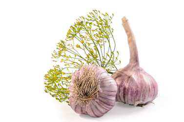 Similar image 21195792