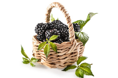 Similar image 21195799