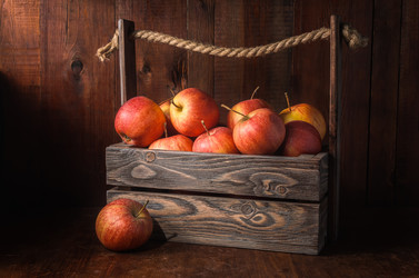 Similar image 21195809